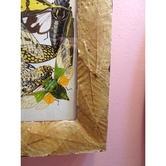 Vintage Art Print of Cicadas in Frame with Real Leaves goth witchy nature insect - Picture 9 of 10